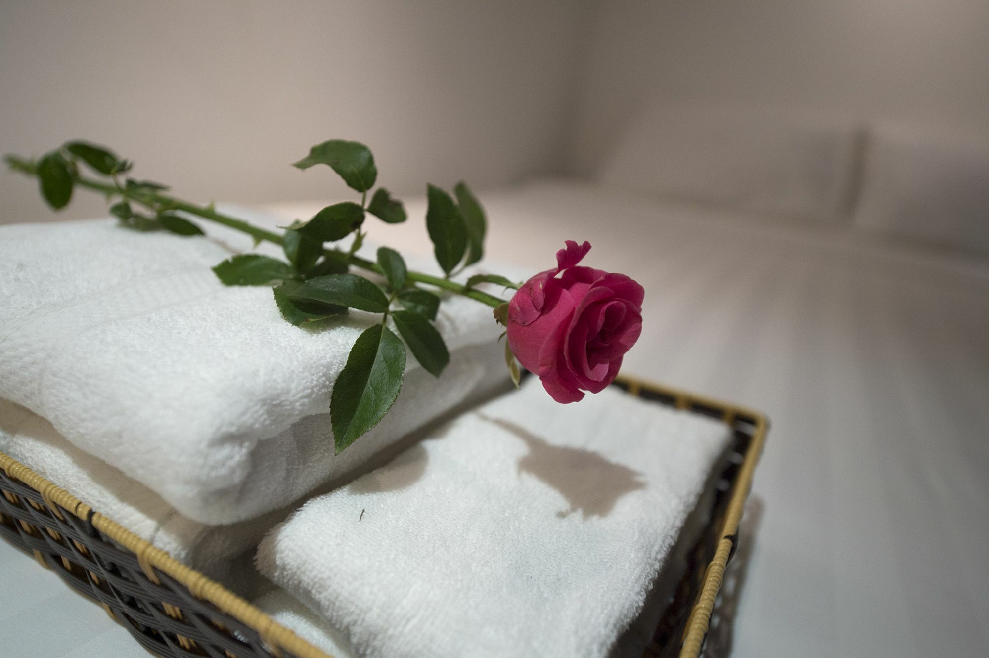 Harmony Homestay - Hanoi Homestay In Old Quarter المظهر الخارجي الصورة