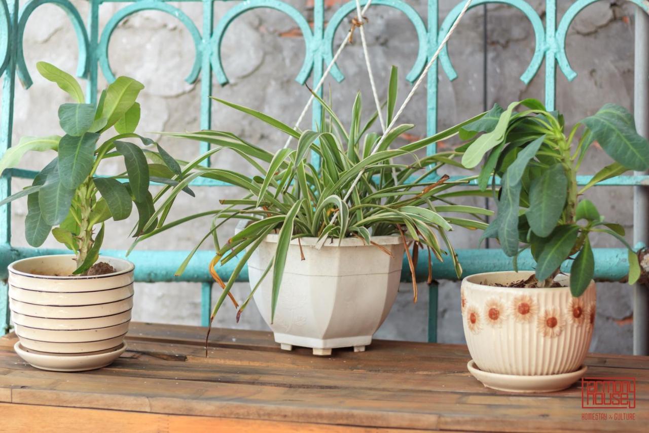 Harmony Homestay - Hanoi Homestay In Old Quarter المظهر الخارجي الصورة